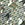 Product image 145